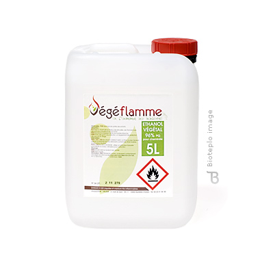 Биотопливо 5 л (Франция)