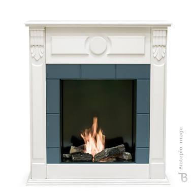 Биокамин Bioteplo Swan