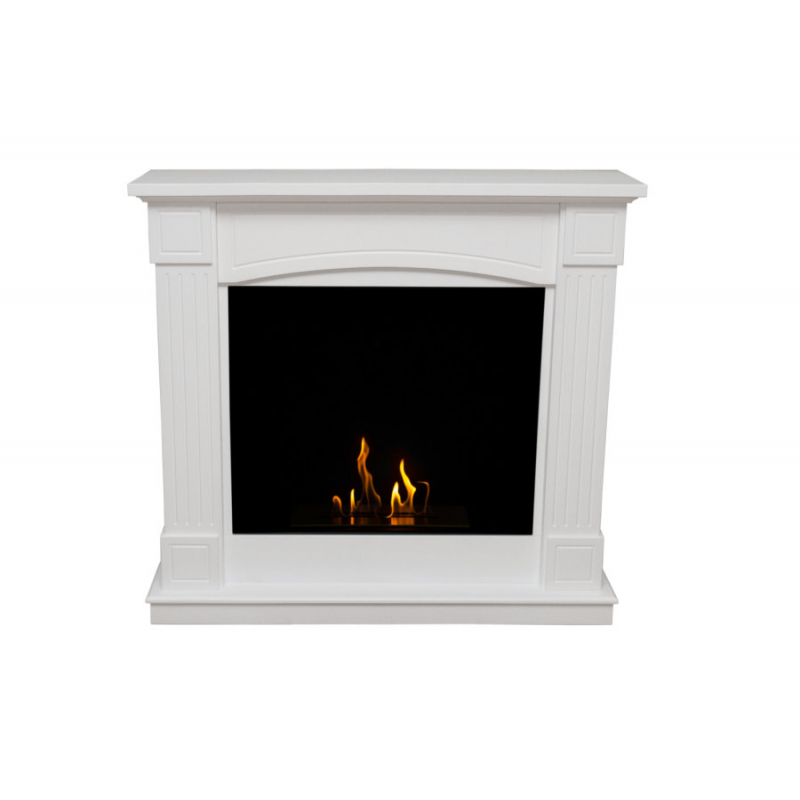 Биокамин FireBird Олимпия по цене 74 800 руб.